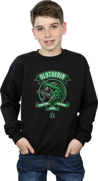 Actual product image Boys Slytherin Toon Crest Sweatshirt (140, 146)