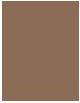 Actual product image Rimmel London Wonder'Freeze Brow Lamination Gel (002 Blonde)