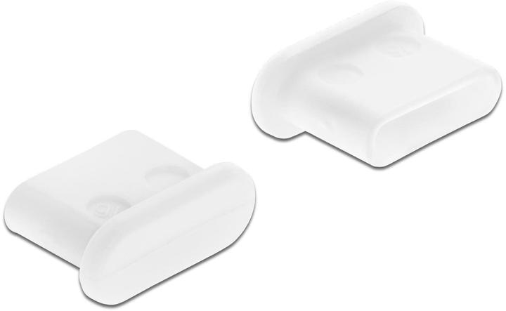 Delock Spina finta USB-C