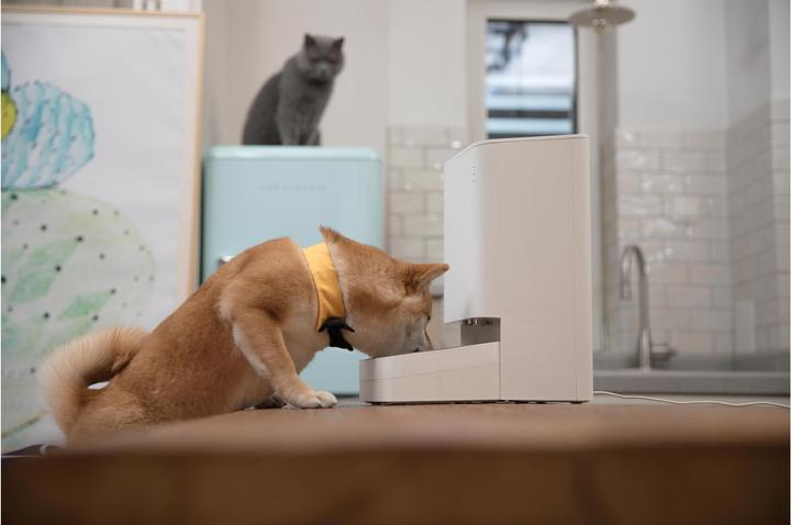 Produktbild Xiaomi Smart Pet Food Feeder (3.60 l)