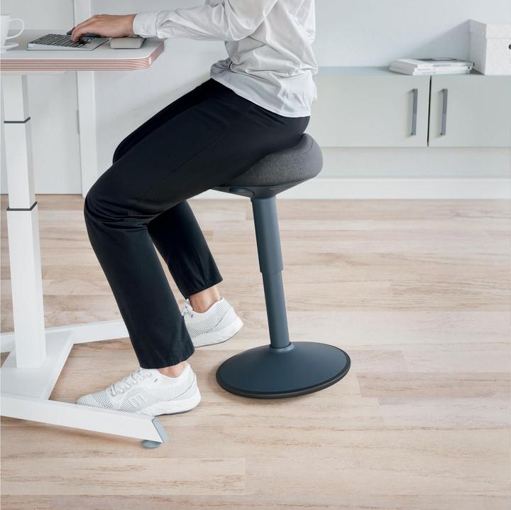 Produktbild Leitz Ergo Active