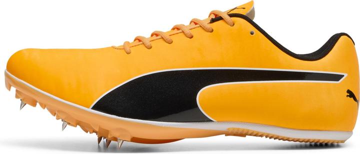 Produktbild Puma evoSPEED Sprint 14.5 (37.5)
