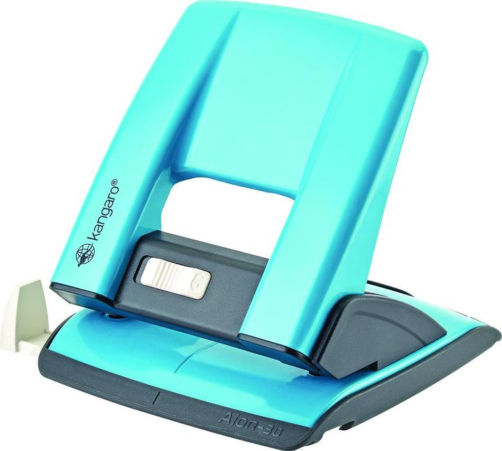 Image du produit Kangaro Aion-30 30 Turkuso lapai (KAA30-24)
