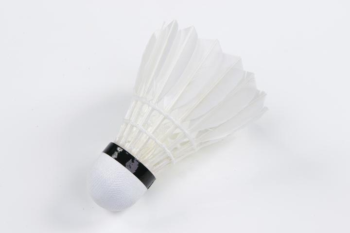 Actual product image Victor Badminton balls Pro Court