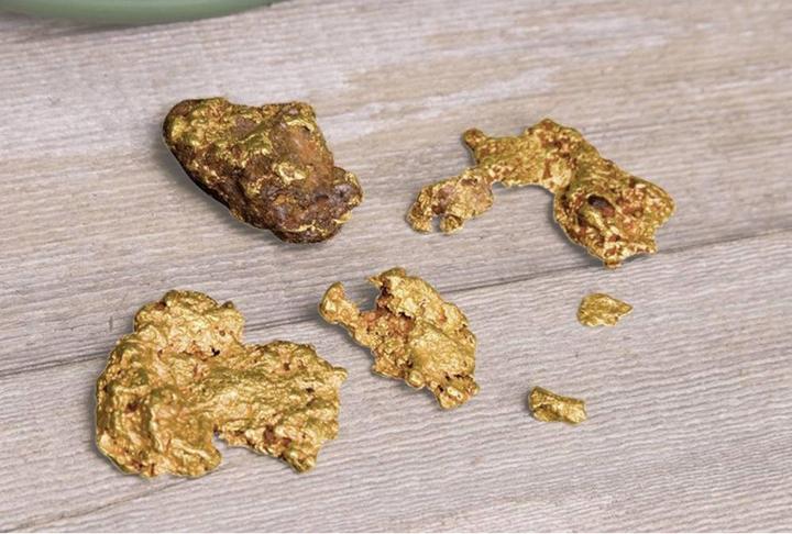 Actual product image Garrett Gold Pan Kit
