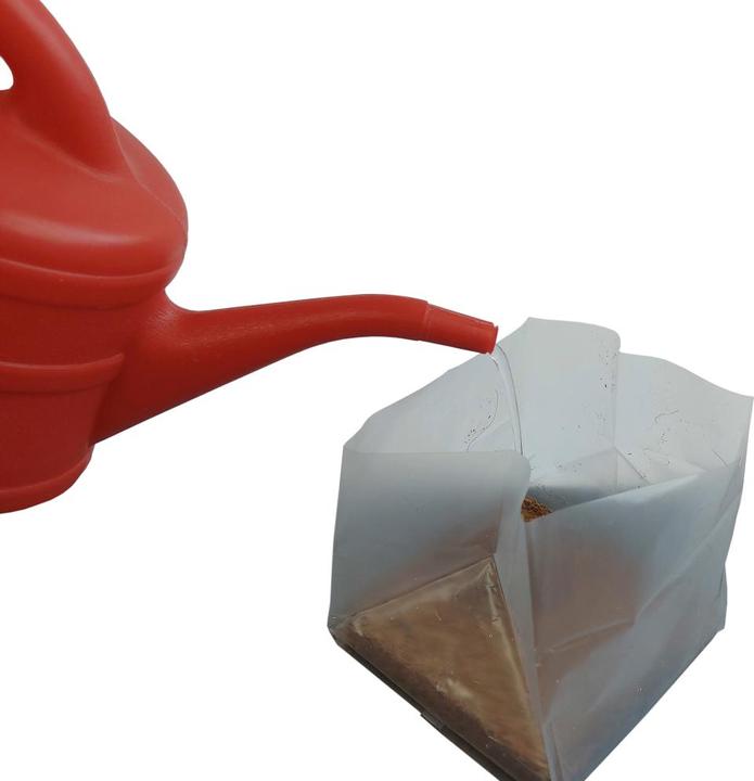 Produktbild Siena Garden Kokosquellerde (1 l, Erde ohne Torf)