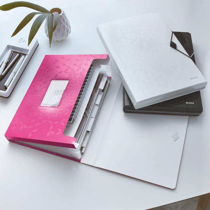 Immagine prodotto Leitz WOW - Cartelle di progetto (A4, 1 x)