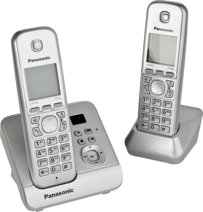 Actual product image Magni Panasonic KX-TG6722GS Duo phone 3648793000