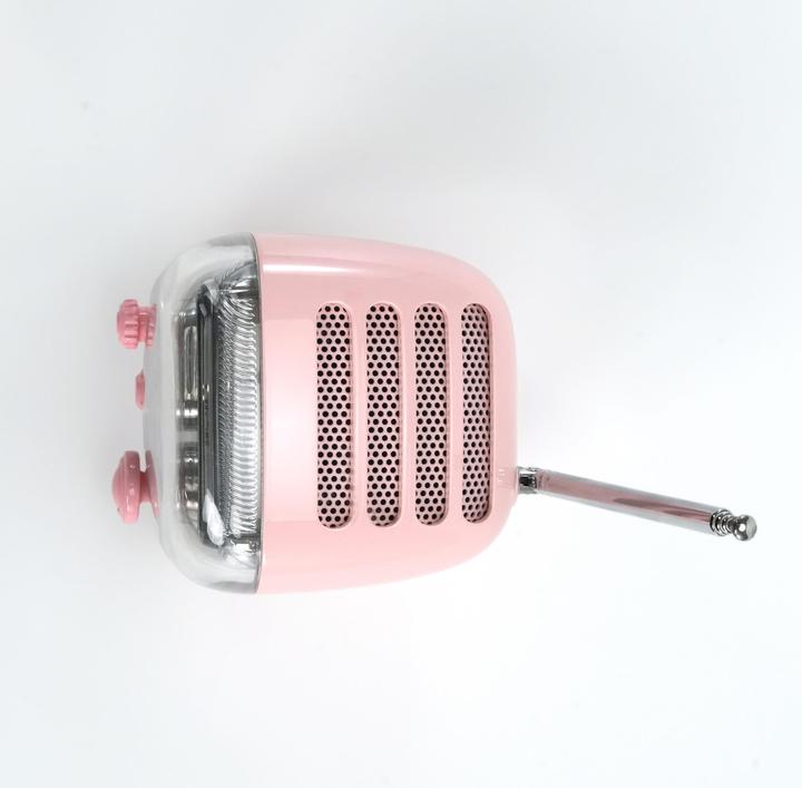 Immagine prodotto Divoom Tiivoo-2 pink