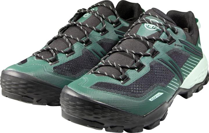 Actual product image Mammut Ducan II Low GTX Men (42)
