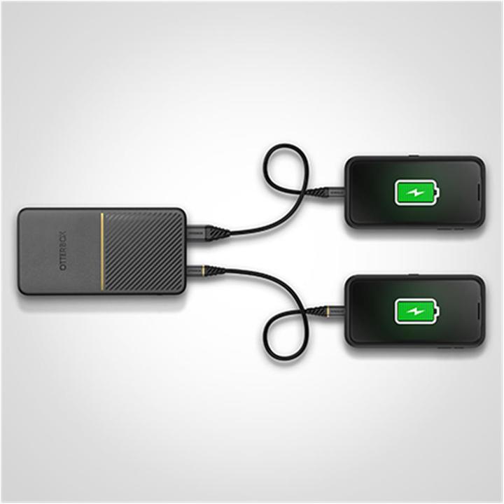 Immagine prodotto OtterBox Power bank ricarica rapida standard (15000 mAh, 18 W, 55.50 Wh)