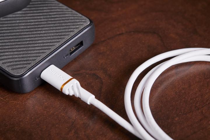 Immagine prodotto OtterBox Power bank ricarica rapida standard (15000 mAh, 18 W, 55.50 Wh)