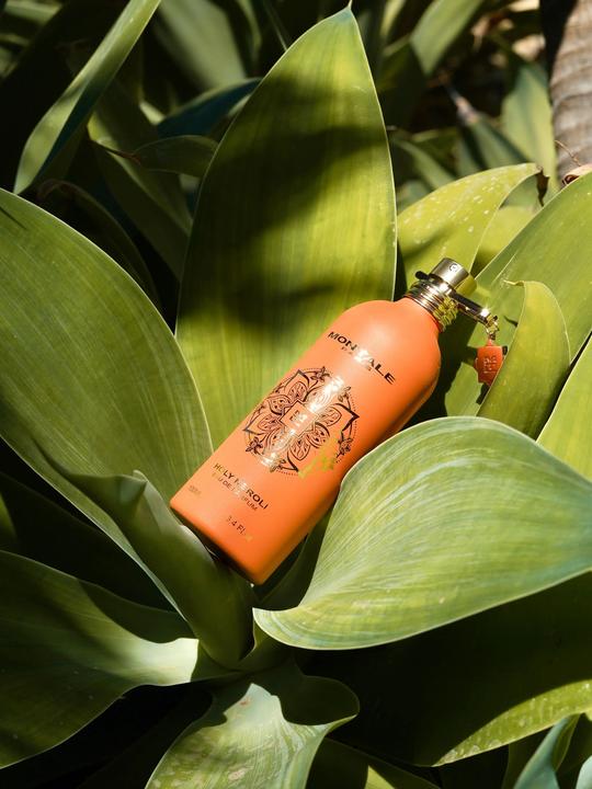 Actual product image Montale Holy Neroli (Eau de parfum, 100 ml)