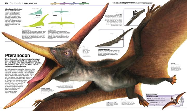 Produktbild Wissen. Dinosaurier (Deutsch, John Woodward, 2020)