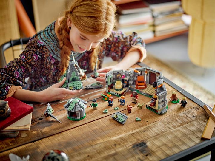 Actual product image LEGO Hagrid's hut: An unexpected visit (76428, LEGO Harry Potter)