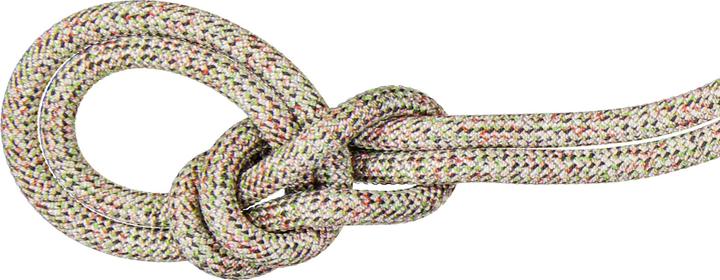 Actual product image Mammut 9.5 Crag We Care Classic (70 m)
