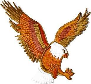 Produktbild Ju-Sports Patch Adler