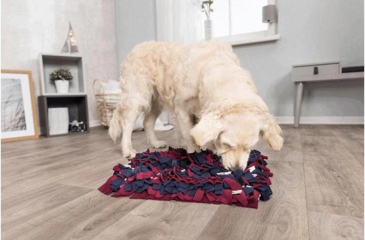 Immagine prodotto Trixie Tappeto da fiuto per le attività (Giocattolo di attività per cani)