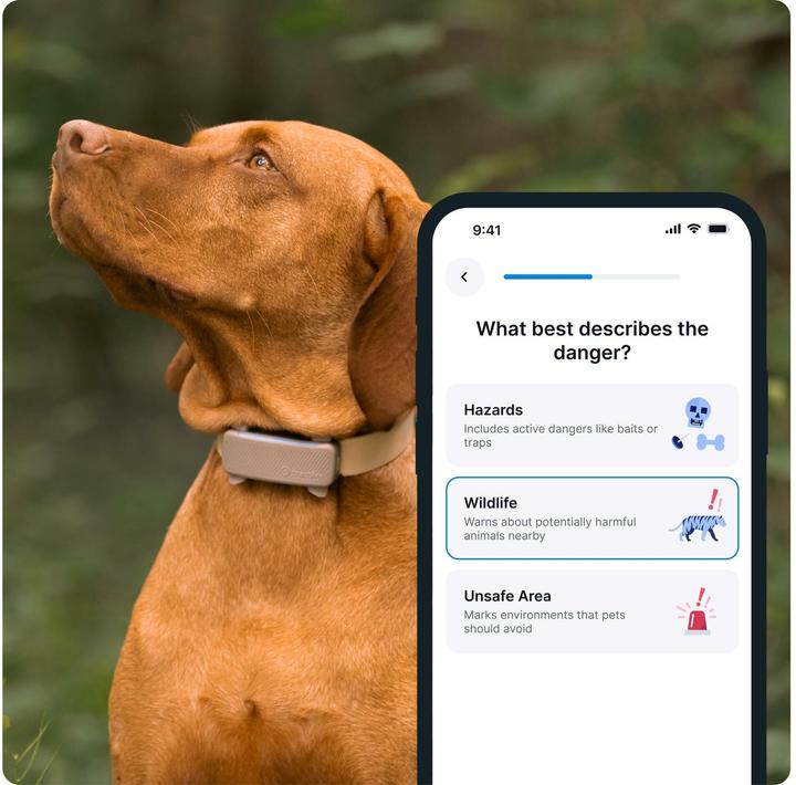 Produktbild Tractive GPS Tracker Dog 6 (Hund)