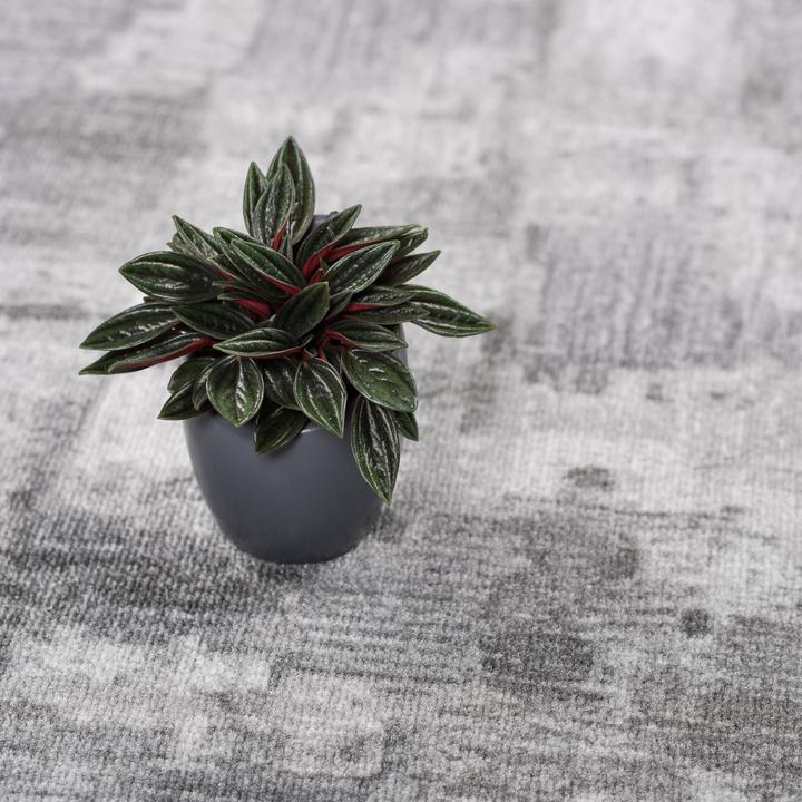Immagine prodotto Snapstyle Tappeto di design di tendenza (160 x 240 cm)
