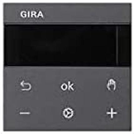 Gira 539428