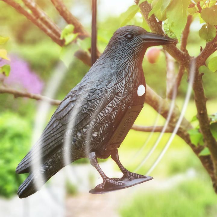 Image du produit Gardigo Corbeau