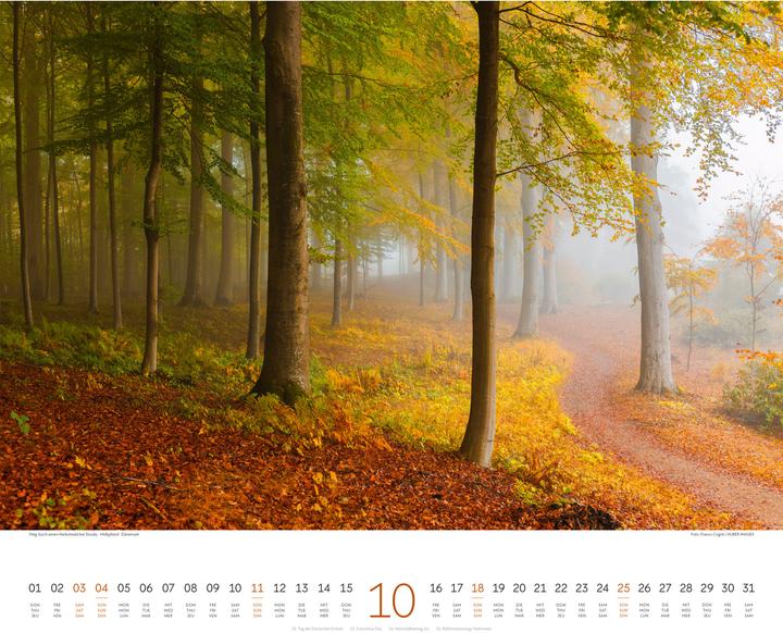 Produktbild Wege Kalender 2026 (54 x 48 cm, Harter Einband, Deutsch, Englisch, Französisch)