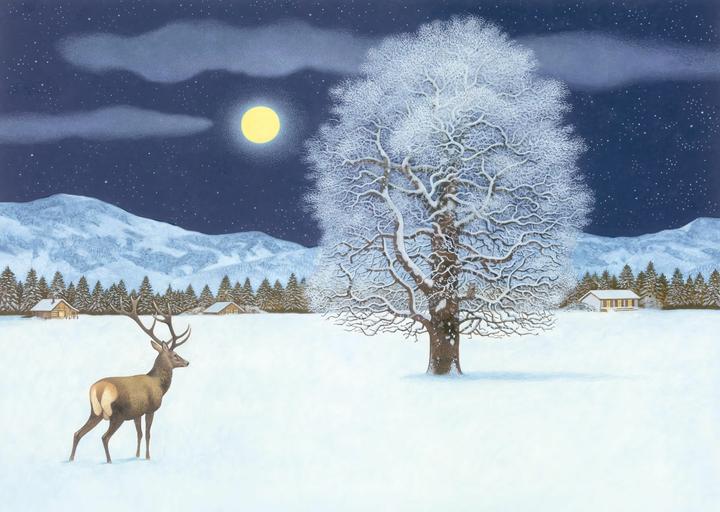 Produktbild Müller:Zauberhafte Winternacht Advents