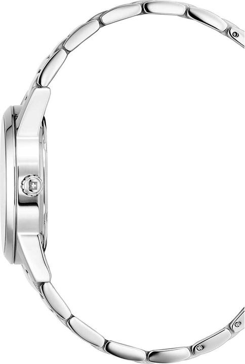 Image du produit Swiss Alpine Military 7767.1137 Argos (Swiss Made, 34 mm)