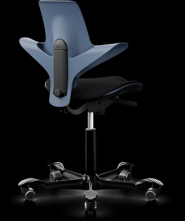 Actual product image HAG Capisco Puls