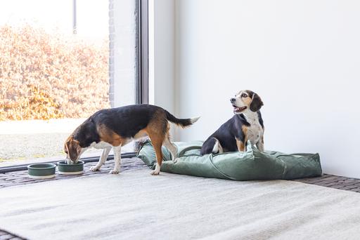 Produktbild Designed by Lotte Nalino (Hund)