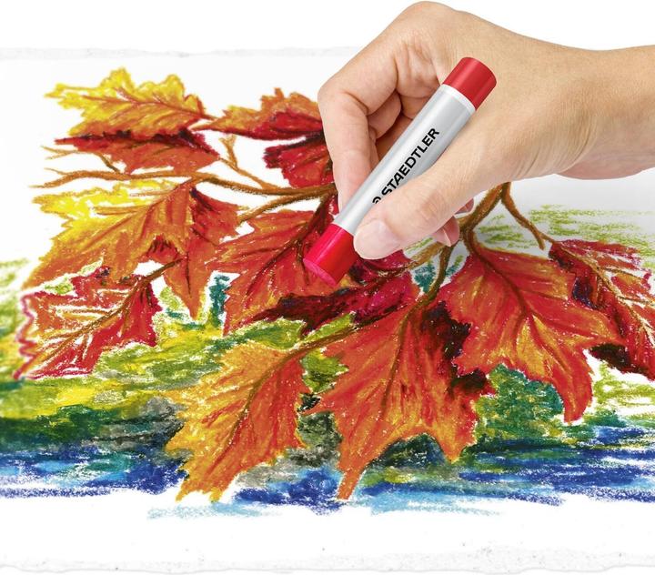 Actual product image Staedtler 2420 Oil pastel crayon cardboard box with 12 pieces, assorted (Sorted, 1 x)