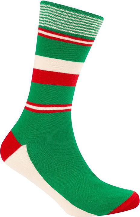 Produktbild Patrón Spirits Company Le Patron Classic Jersey Bartali Socks italian green (39 - 42)