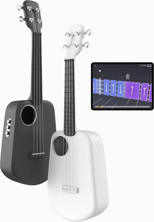 Produktbild Popu Music Populele 2 Pro (Konzert)