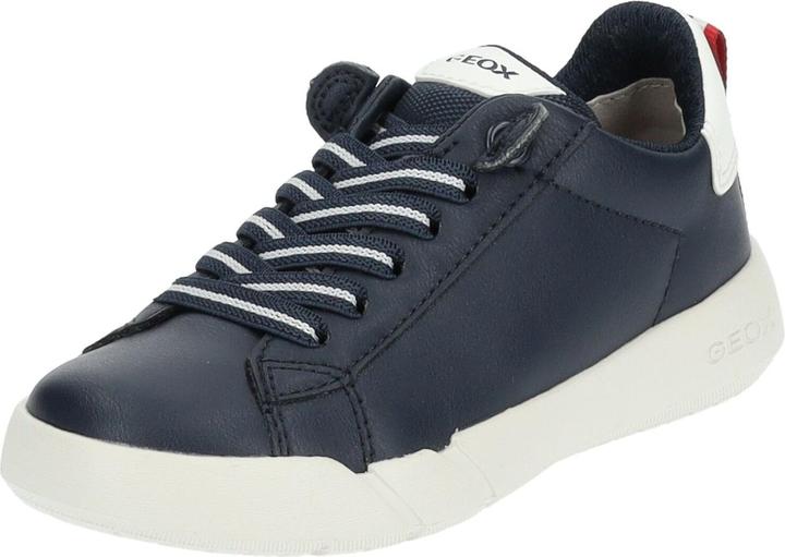 Geox Sneaker (28)