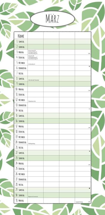 Produktbild Alpha Edition Familienplaner Deluxe 2025 Familienkalender, 22x45cm, Kalender mit 4 Spalten für (22 x 45 cm, Deutsch)