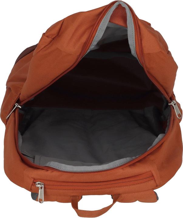 Actual product image Deuter Gogo (28 l)