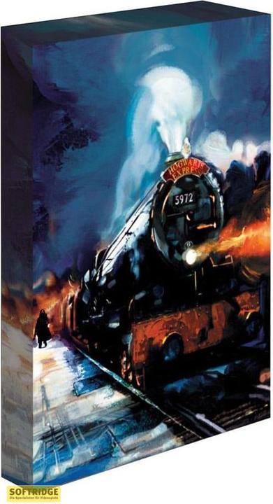 Pyramid Harry Potter tableau toile Poudlard Express 30 x 40cm (30 x 40 cm)