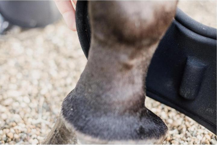 Produktbild Kentucky Horsewear Springglocken Ballenschutz
