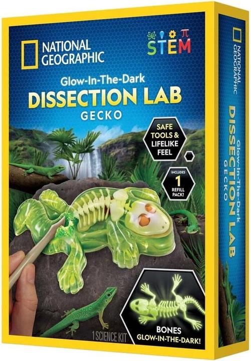 Immagine prodotto National Geographic Laboratorio di dissezione del geco (29-2451)