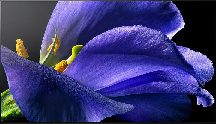 Actual product image Sony OLED KD65AG9 (65", OLED, 4K, 2019)