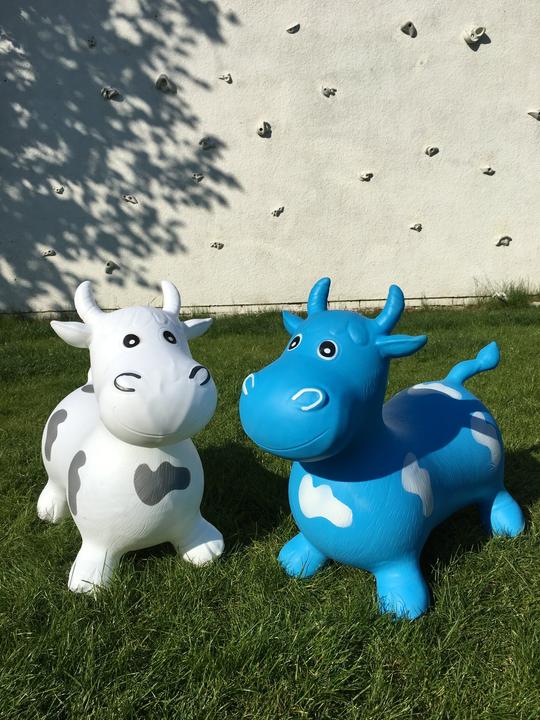 Actual product image Happy Hopperz Big Face Bull