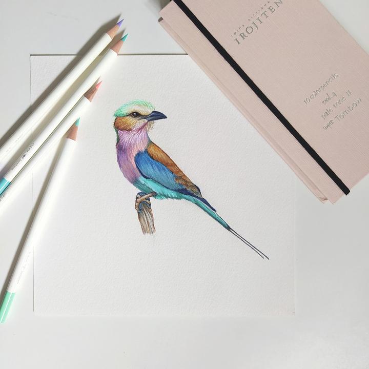 Produktbild Tombow Irojiten (Woodland, 30 x)