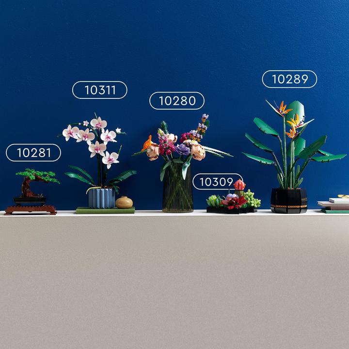 Actual product image LEGO Succulents (10309, LEGO Botanical, LEGO Rare Sets)