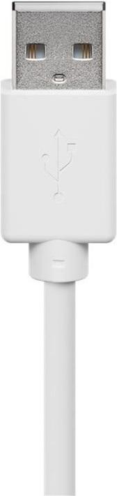 Actual product image Goobay USB 2.0 Hi-Speed (0.60 m, USB 2.0)