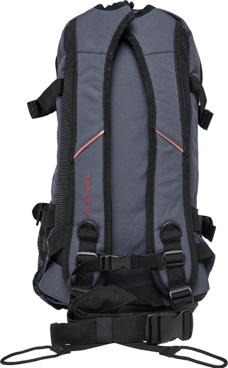 Immagine prodotto Forvert Louis Zaino - 15495 (25 l)