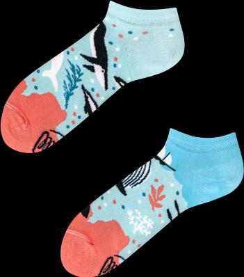 Image du produit Many Mornings Ocean Life (Une unité par pack, 39 - 42)