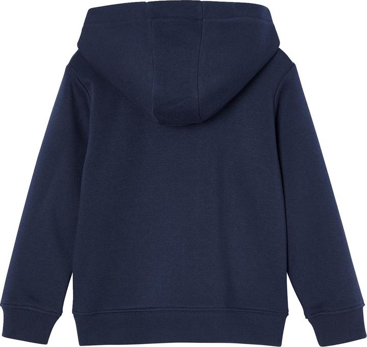 Image du produit Vertbaudet Sweat à capuche garçon BASIC en polyester recyclé (92)