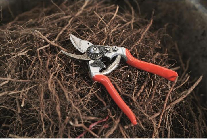 Immagine prodotto Felco Cesoie da giardino 14