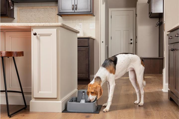 Immagine prodotto Sportdog Fontana per animali domestici Drinkwell da 3,7 litri - Adattatore UE (3.70 l)